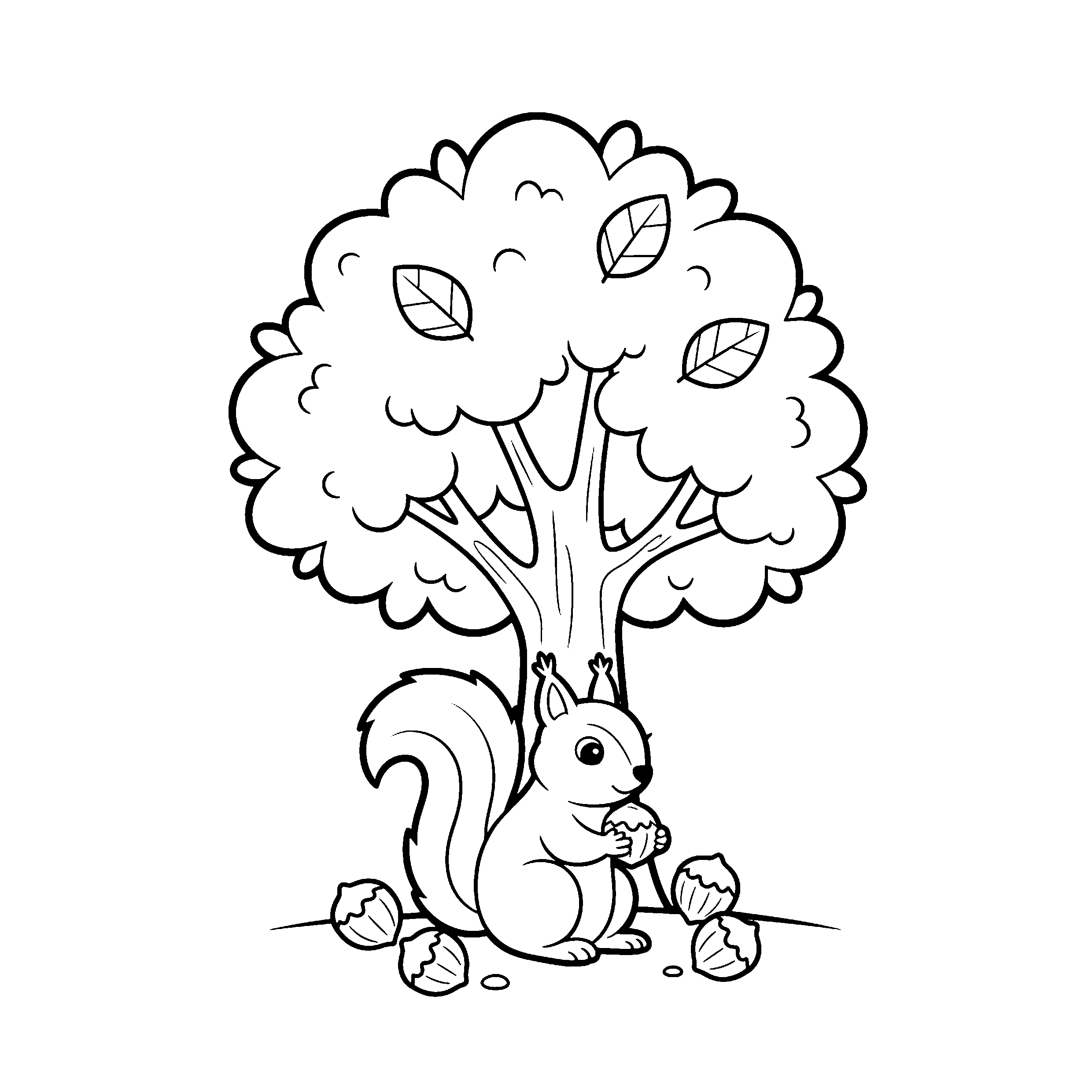 Écureuil d&rsquo;automne