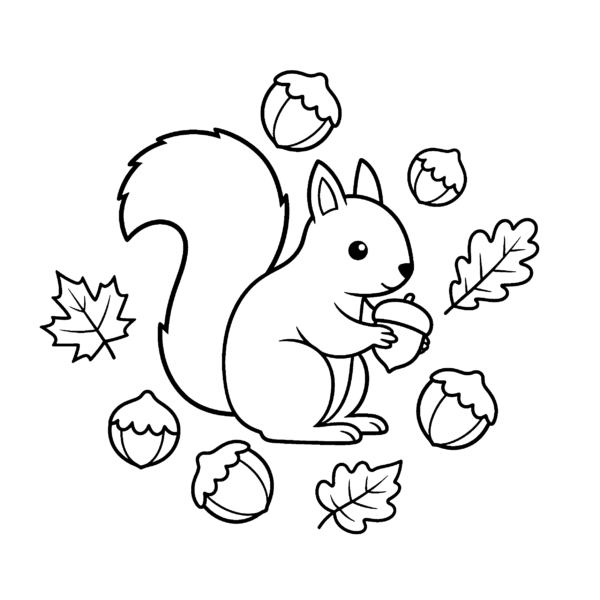 Écureuil aux noisettes