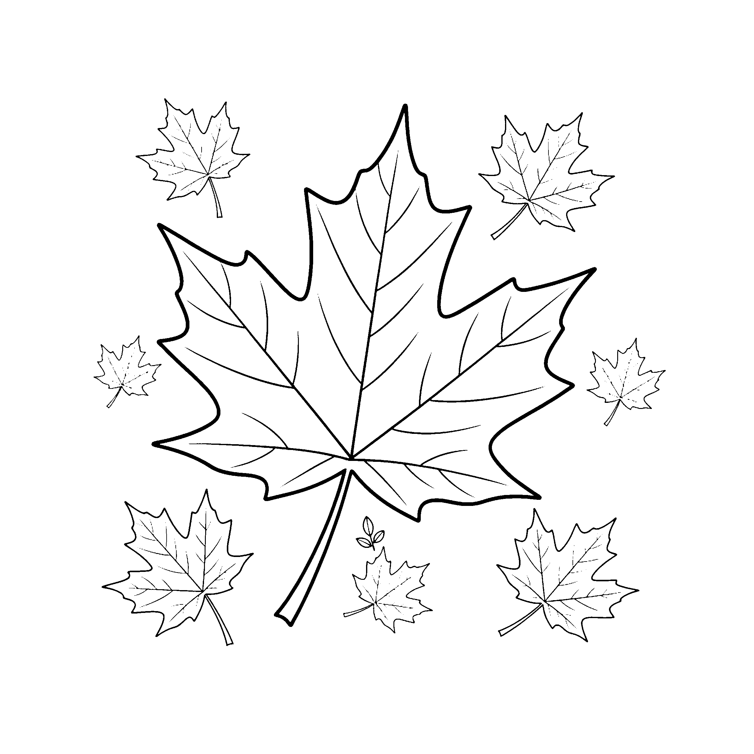 Feuille d&rsquo;érable