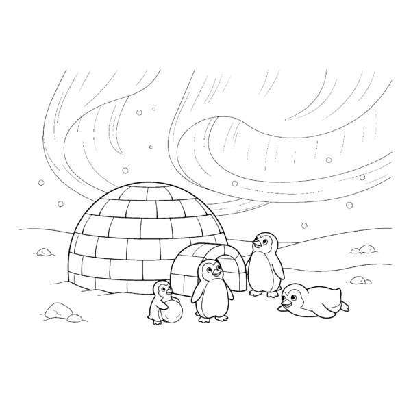 Igloo et aurore boréale