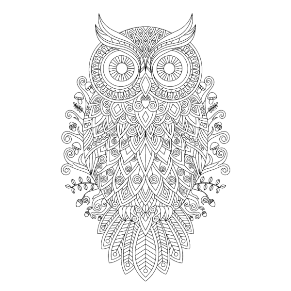 Mandala chouette