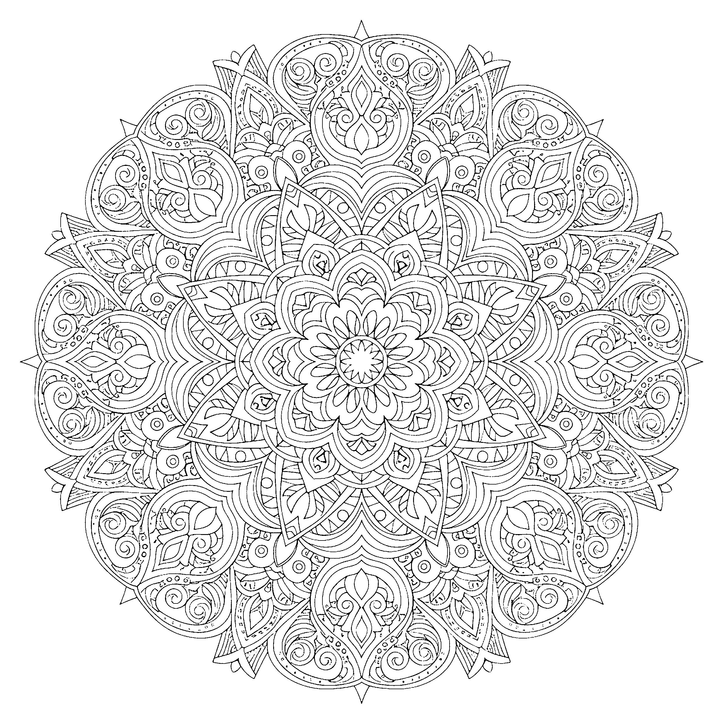 Mandala paisley
