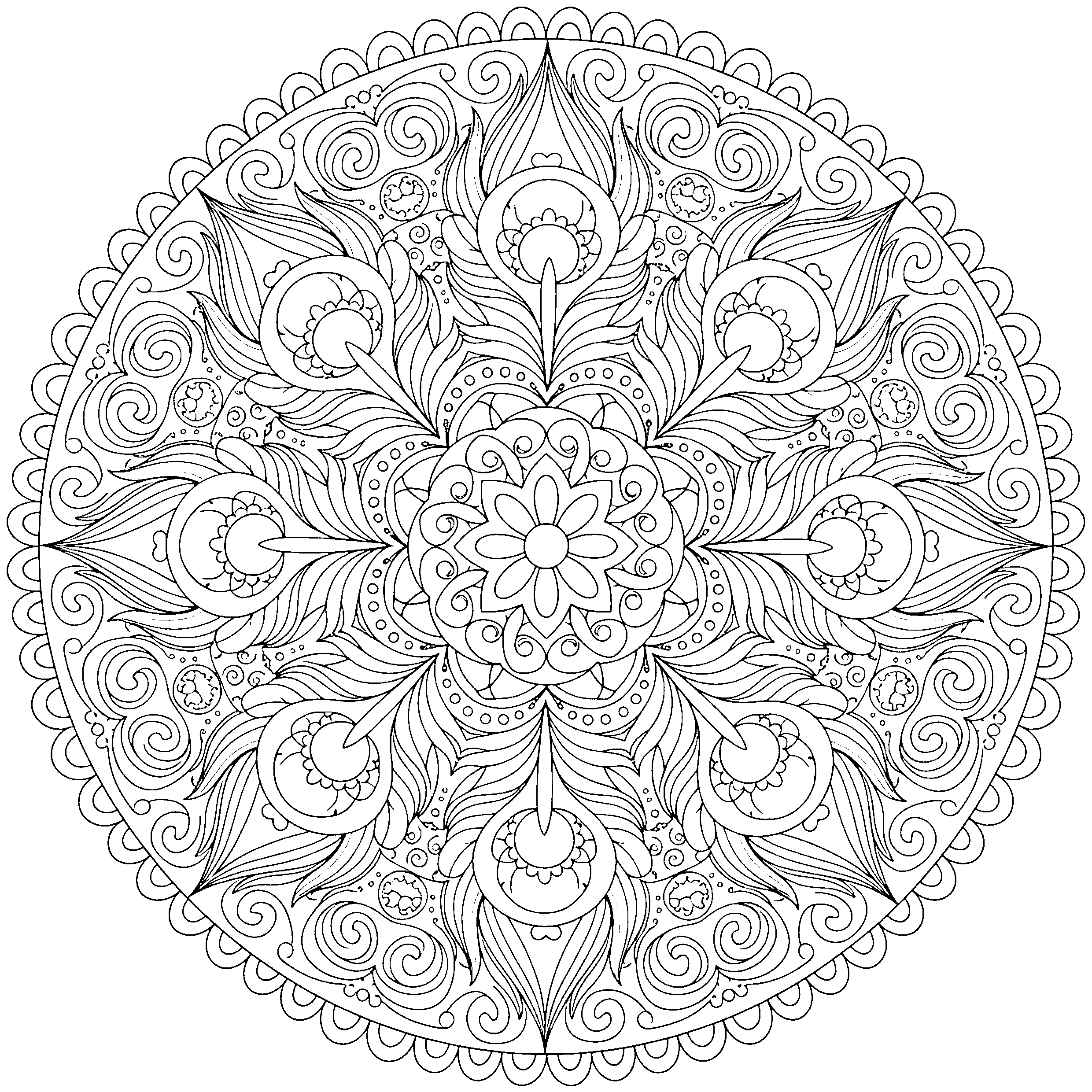 Mandala plumes de paon