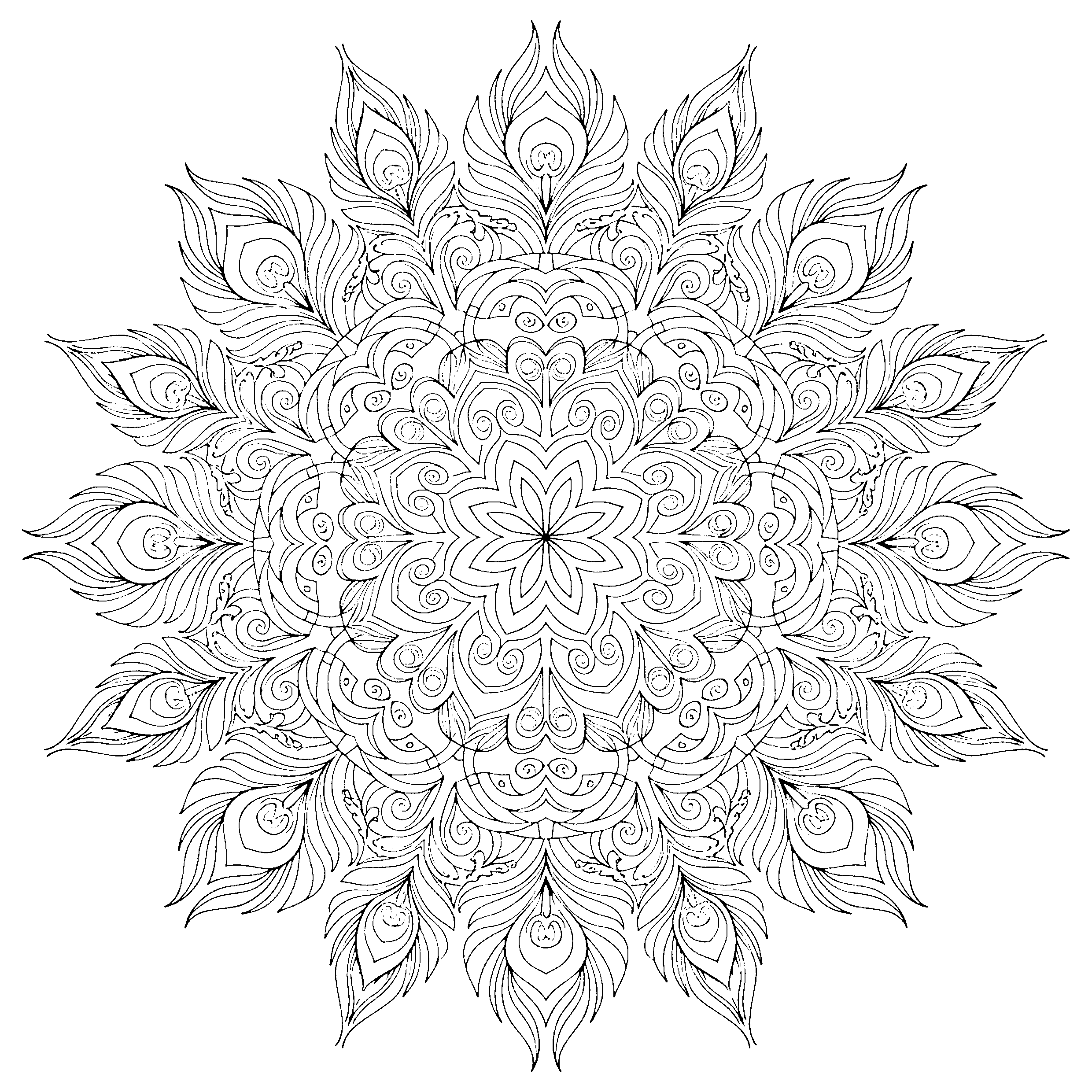 Mandala plumes spirales