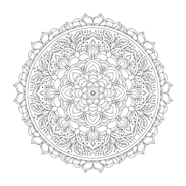 Mandala rose
