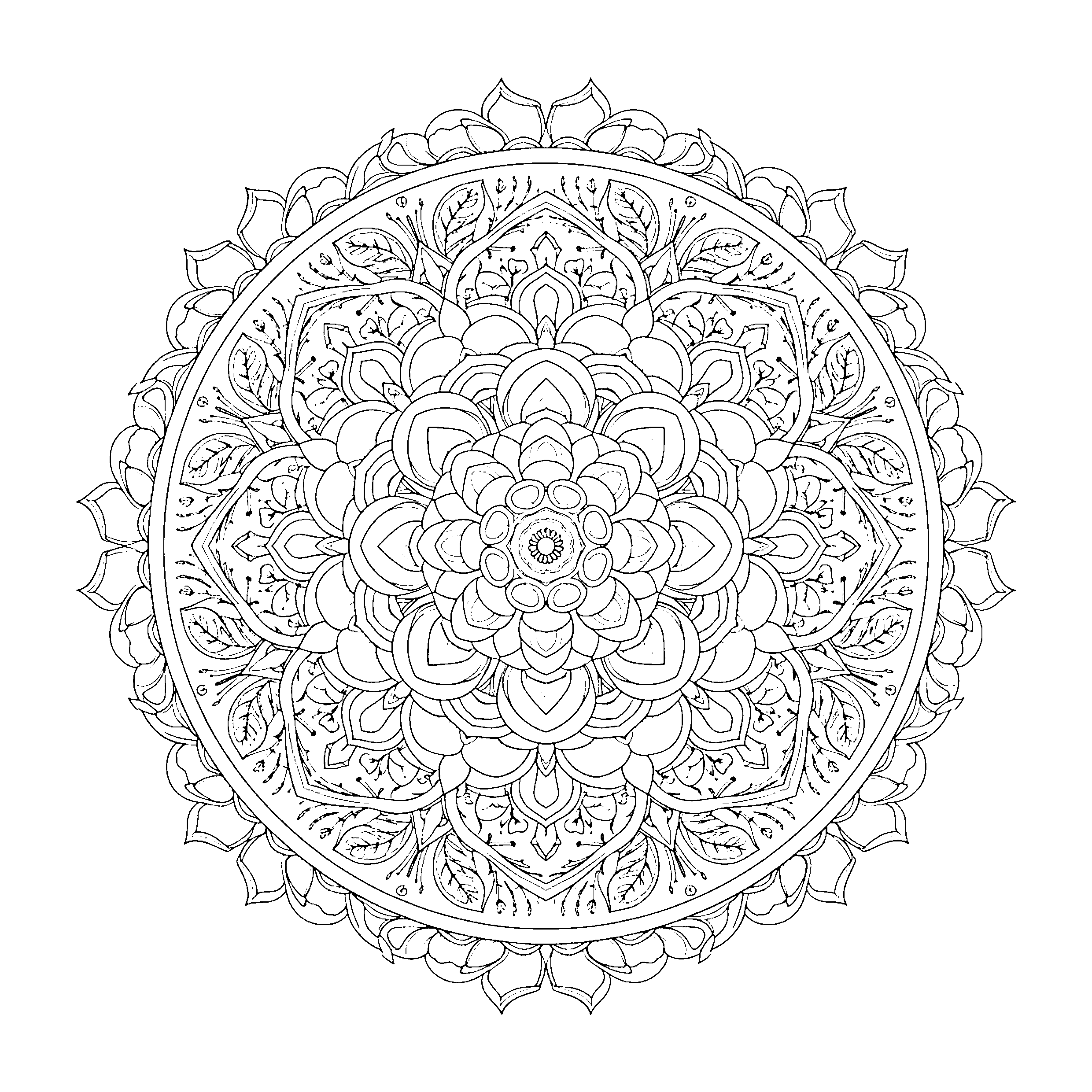 Mandala rose
