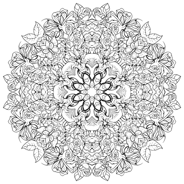 Mandala roses et papillons