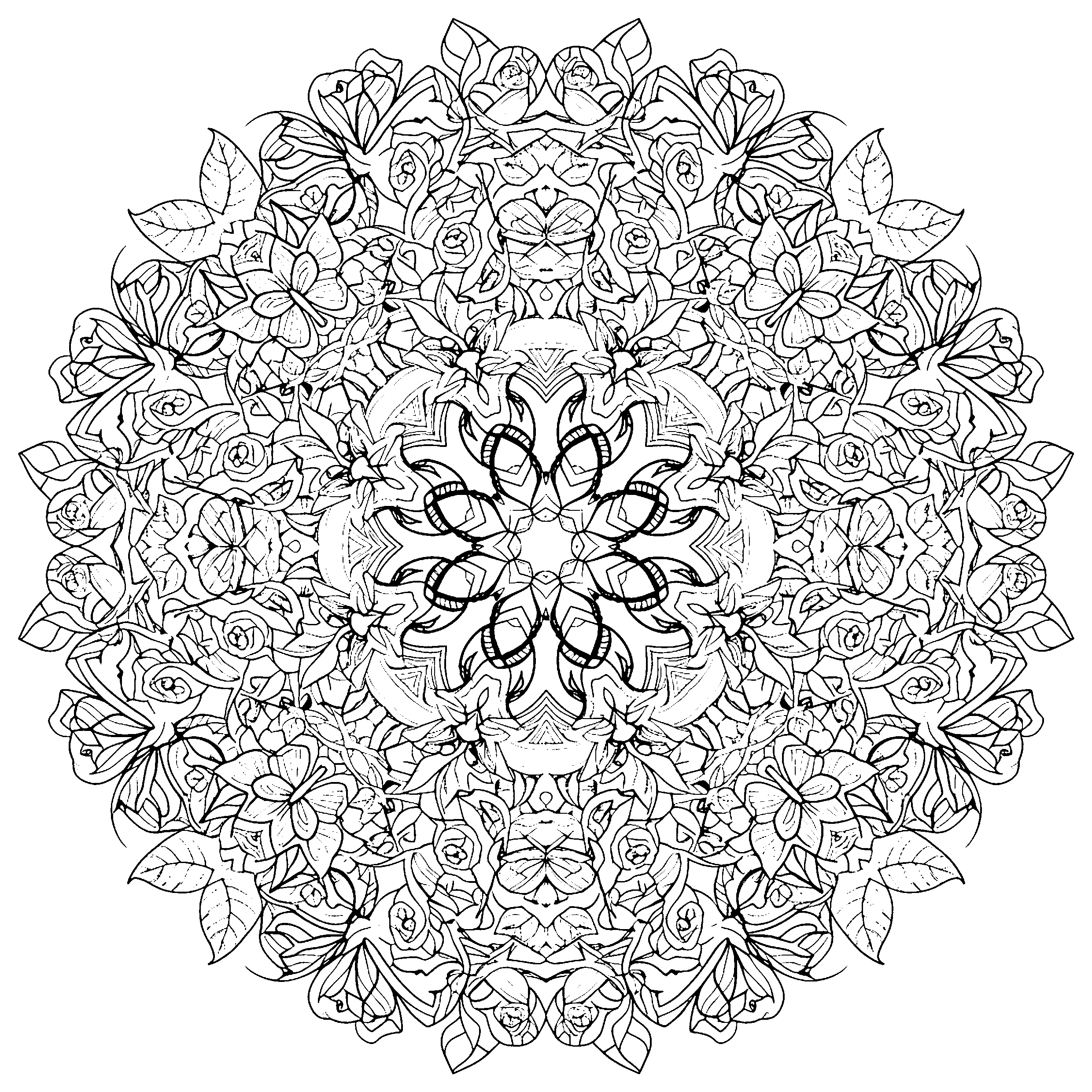 Mandala roses et papillons