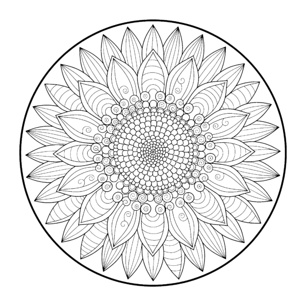 Mandala tournesol