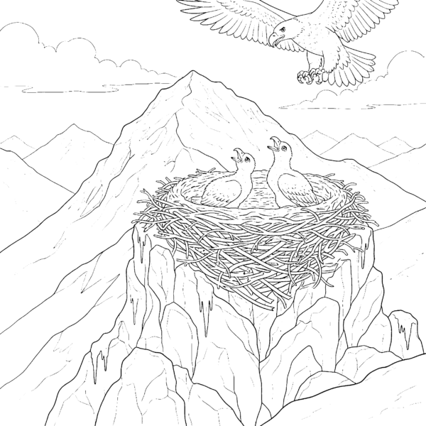 Nid d&rsquo;aigle