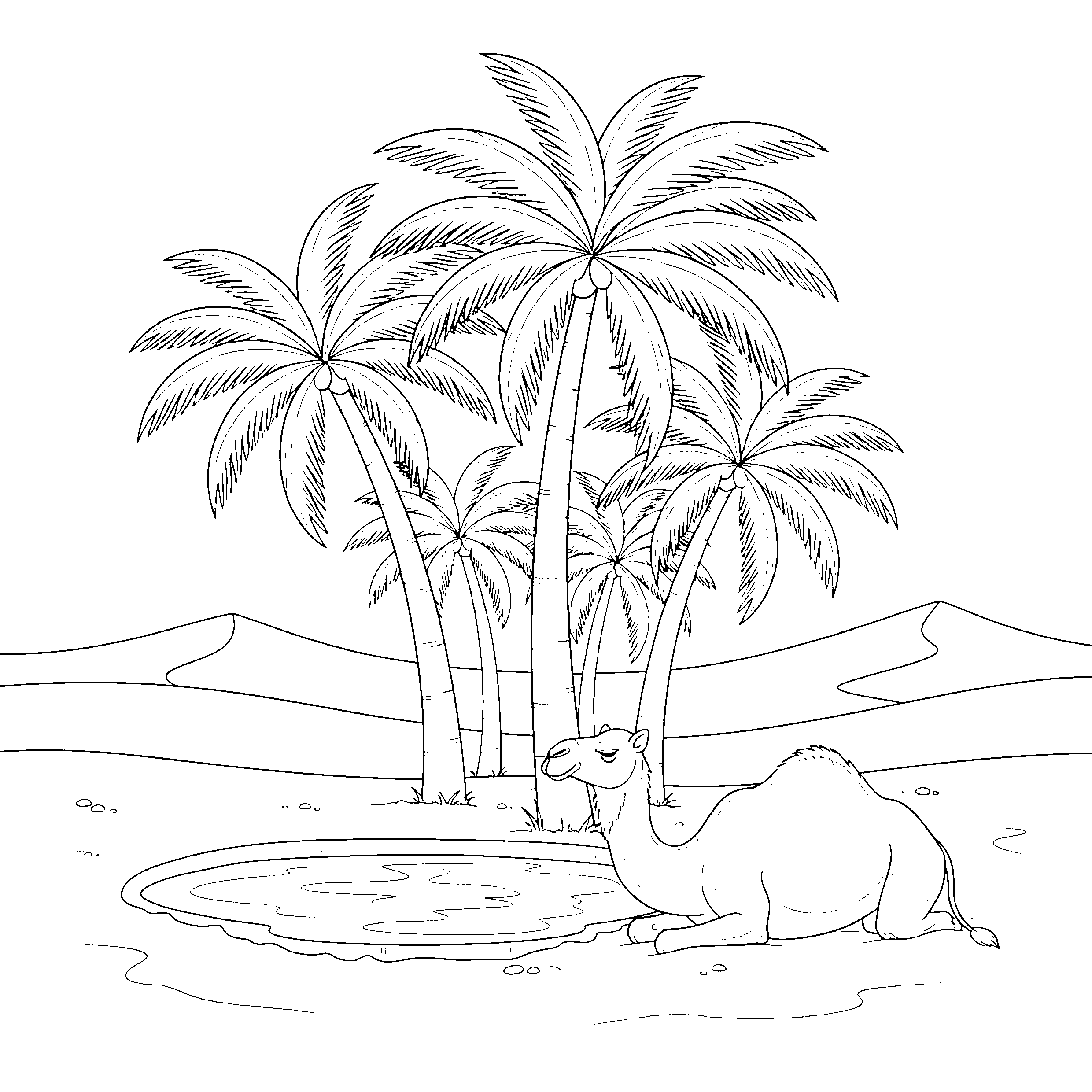 Palmiers de l&rsquo;oasis