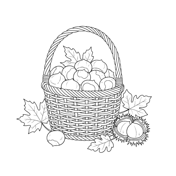 Panier de châtaignes