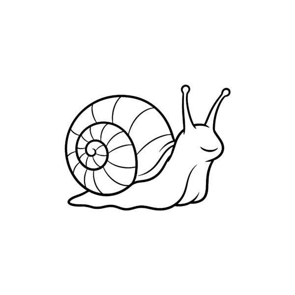 Petit escargot