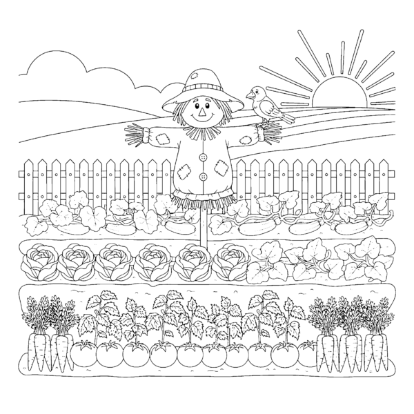Potager de légumes