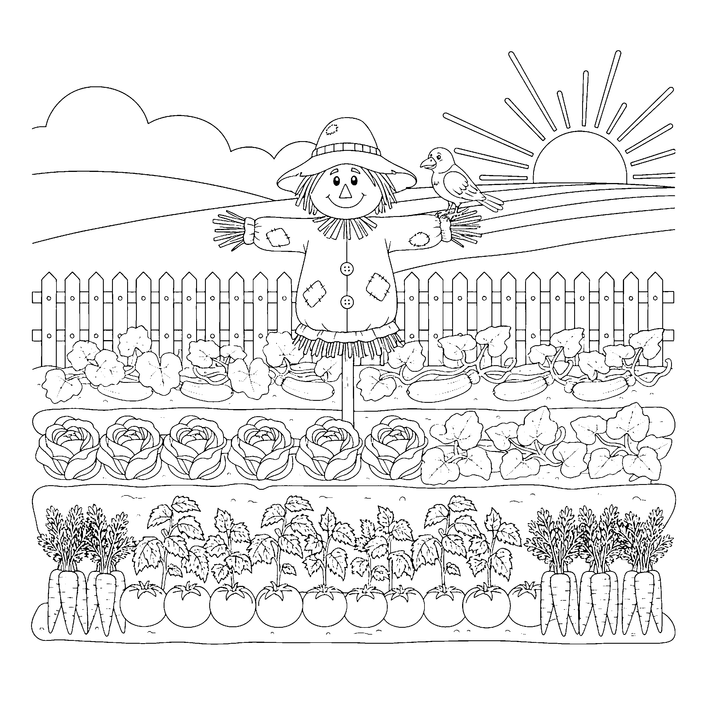Potager de légumes
