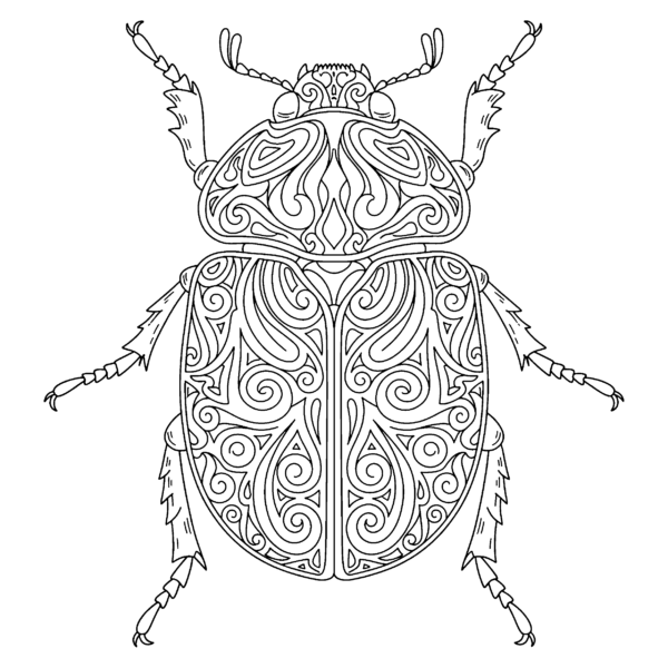 Scarabée iridescent