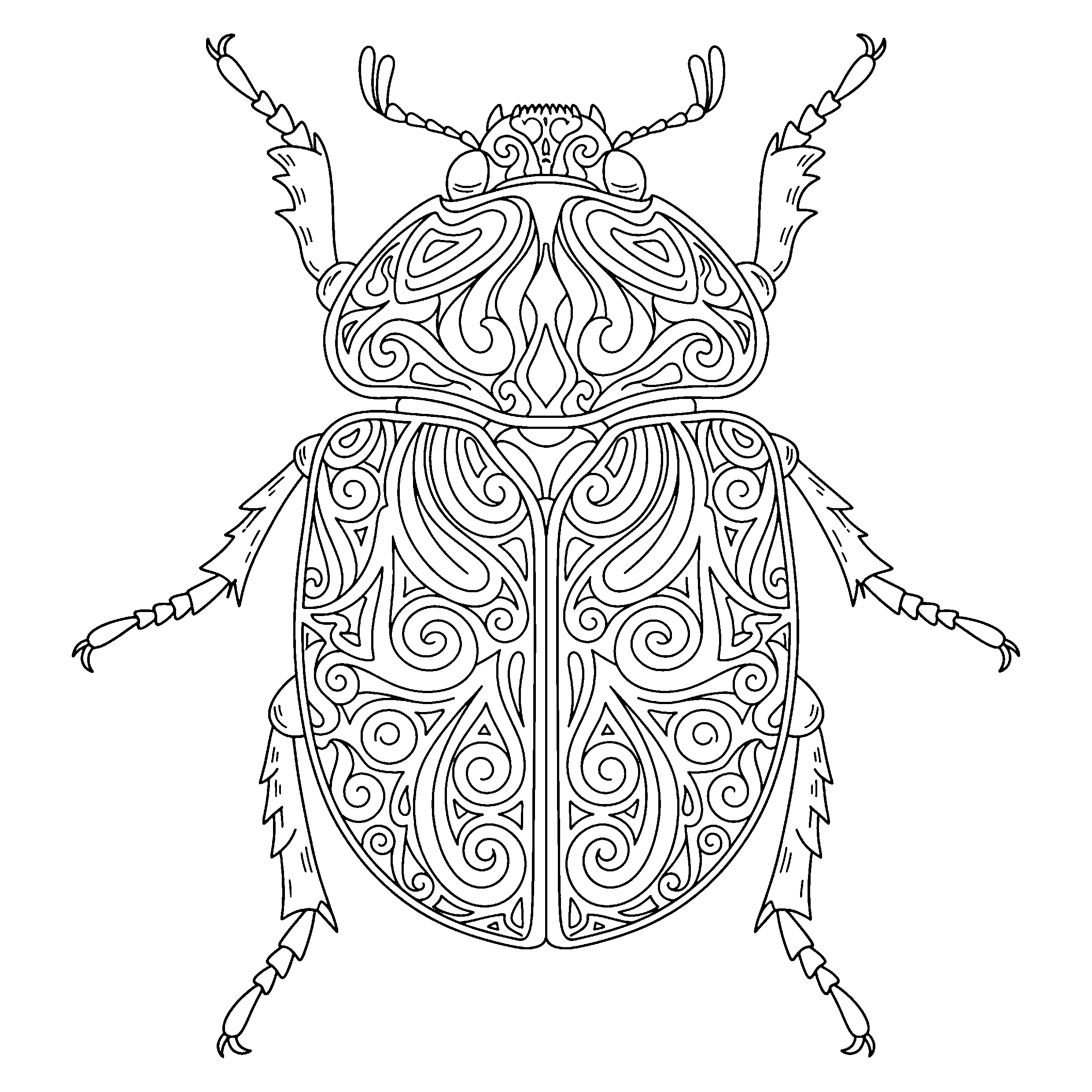 Scarabée iridescent